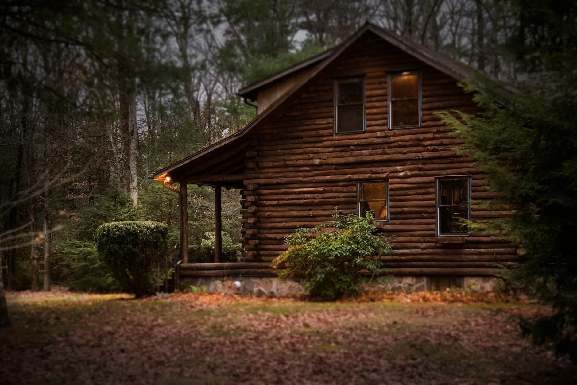 brown cabin in the woods on daytime my ideal day