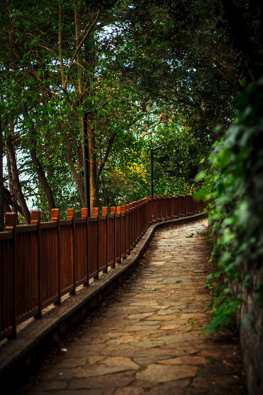 serene pathway through lush greenery in istanbul